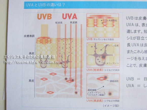 紫外線UVAとUVBの違い